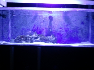 2012 06 02 14.15.01