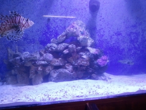 2012 06 09 19.57.21