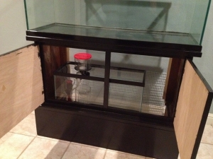 sump with skimmer