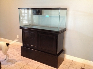 tank build