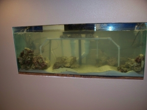 purchased a 125g established tank to get started and adding the first part of the live rock had to wait a day for things to settle before adding live stock