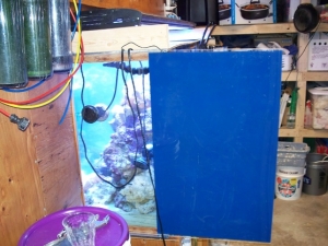 Made removable pieces of acrylic painted blue for three sides of the tank since I have no front access which I do regret but looks better.
