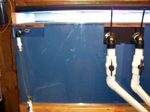 back of tank will acrylic panel on