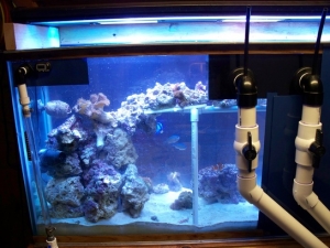 back of tank with one half of panel off