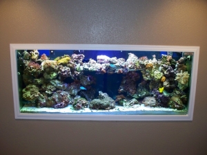 trim is finally done around the tank time for more corals