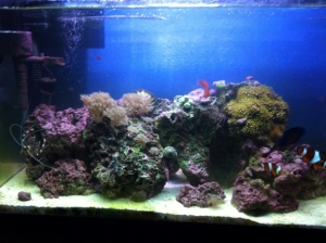 Tank