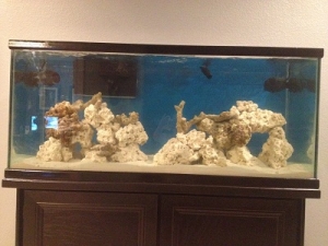 Day 2 of cycle (sand is mostly settled)
