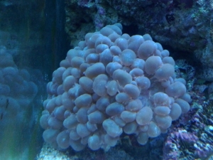 IMG 20120601 125744