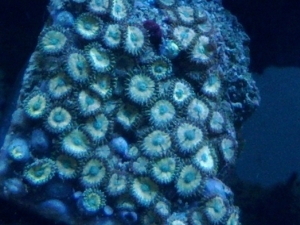 IMG 20120613 134754