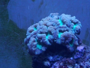 IMG 20120603 211310