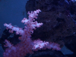 IMG 20120603 211416