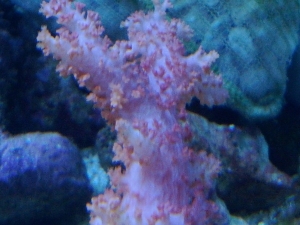 IMG 20120601 130029