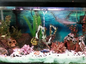 30gallon