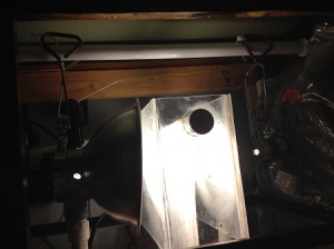 Algae turf scrubber with lights close-up.  To do this we put a shower rod in the top of the stand.
