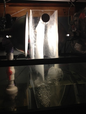 We decided to do an ATS after we originally built our sump/refugium for a traditional type set up. We had to put in an extra piece of acrylic to act as a baffle to keep out microbubbles.