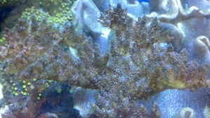2012 09 29 10 46 10 799