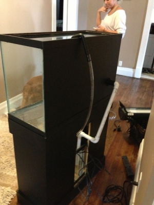 right after she painted the back of the tank