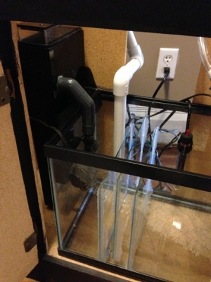 my attempt at a diy sump