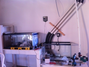 More Plumbing