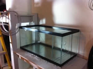 40b Refugium