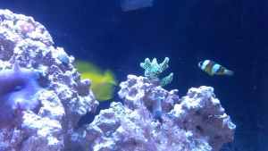 IMAG0750