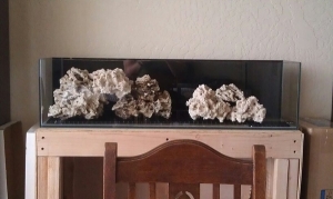 Rockscape idea