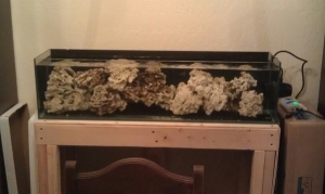 Dry rock curing