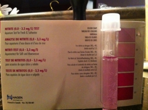 Never said this before...  We have Nitrite!  Yeah!!!