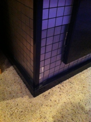 IMG 3236[1]