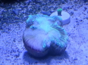 20121107 220420