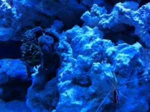 IMG 3268[1]