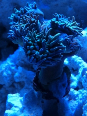 IMG 3271[1]
