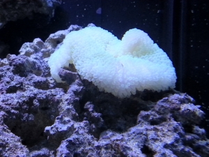 20121213 215954