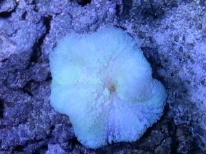 20121213 215856
