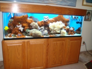 Tank 1