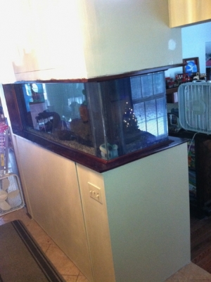Finished Tank