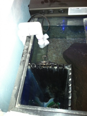 Castle/tower that drains into sump (matching one on other end of the tank)