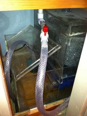 Right side filtration.  3/4" interior measurement hoses.  Running a Marineland Maxi-jet submersible utility pump 1800.