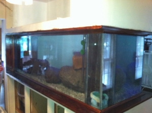 Tank showing both castles/towers