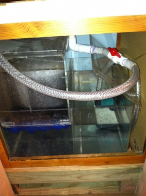Left side pump.  3/4" interior measurement line.  Pump is a Marineland Maxi-jet submersible utility pump 1800.