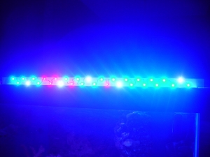 DIY LED light bar  30 leds