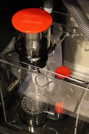 Reef Octopus Skimmer