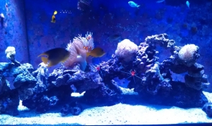 IMAG0344