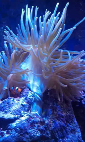 IMAG0329