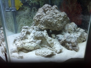 IMG 20130202 142050