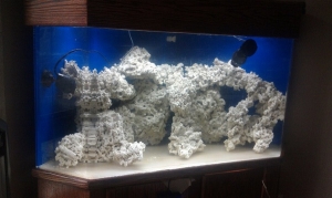 Aquascape1