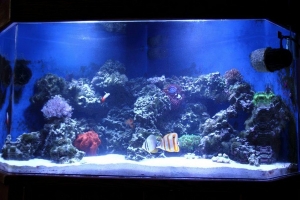 front3