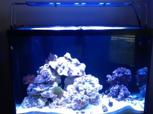 photo1