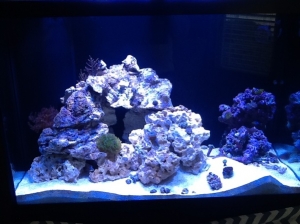 photo2