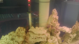 IMAG0457